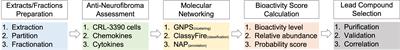 Chemometric-Guided Exploration of Marine Anti-Neurofibroma Leads